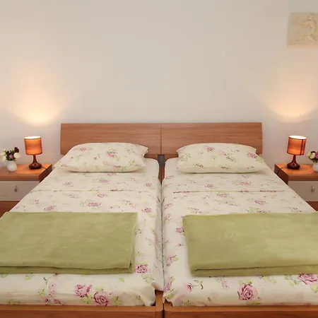 Mira Homestay *