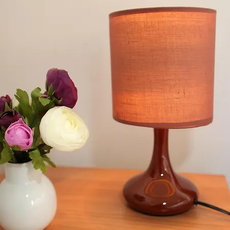 Mira Ostanak kod kuće